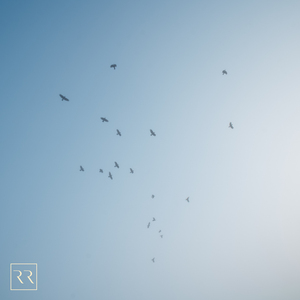 欧美又粗又硬又黄又爽视频
