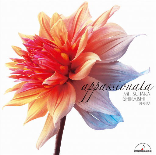 欧美又粗又硬又黄又爽视频
